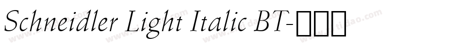 Schneidler Light Italic BT字体转换